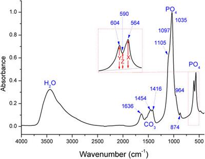 Fourier-transformed infrared spectroscopy study of the ancient ivory tusks from the Sanxingdui site